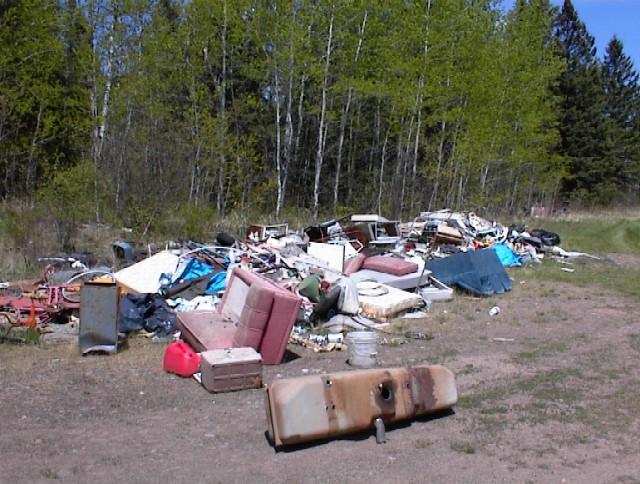 The link to abandoned waste and the critical chemicals from the Lake Superior Lakewide Management Plan (LaMP) can be made through a variety of products.