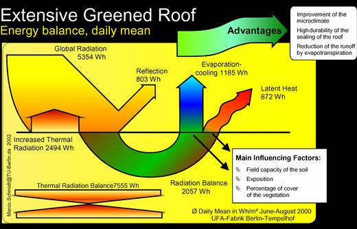 <greenroofs.org> The two diagrams above display the energy balances of a conventional roof and a green roof.