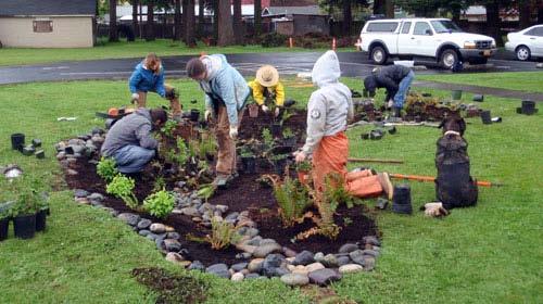 Rain Garden Maintenance Good gardening practice: Perennial gardening skills Water in dry weather until established Mulching: Will need to be raked periodically and replenished every Spring.
