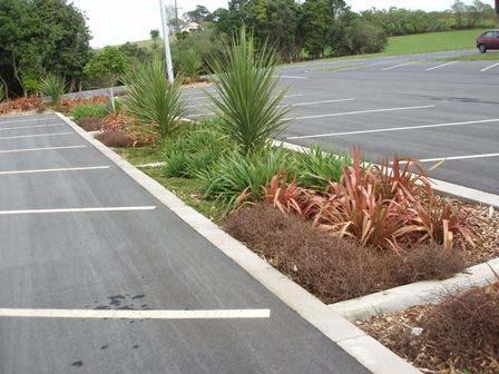What is a rain garden? Rain gardens are vegetated areas that collect, absorb and clean stormwater runoff.