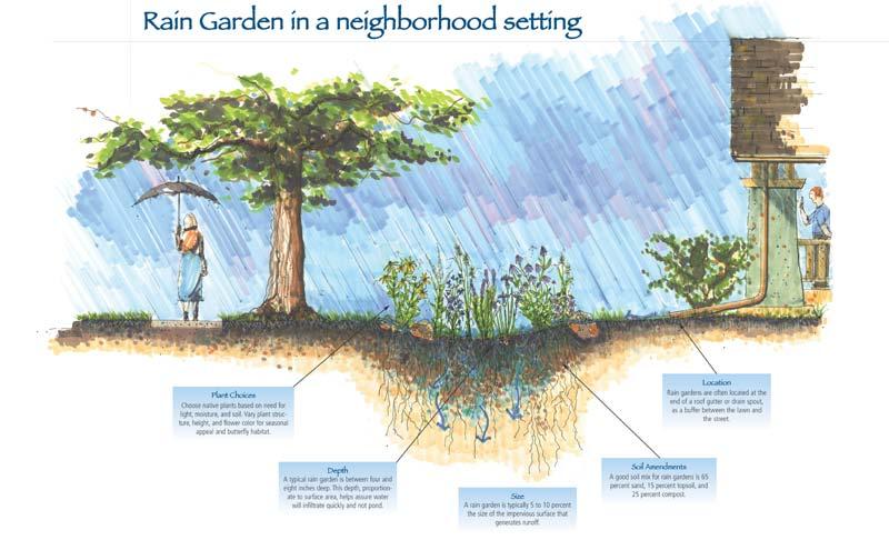 Rain Garden: Design Feature Evaluation Visibility and traffic This is a pilot project we want it to get seen Slight slope,