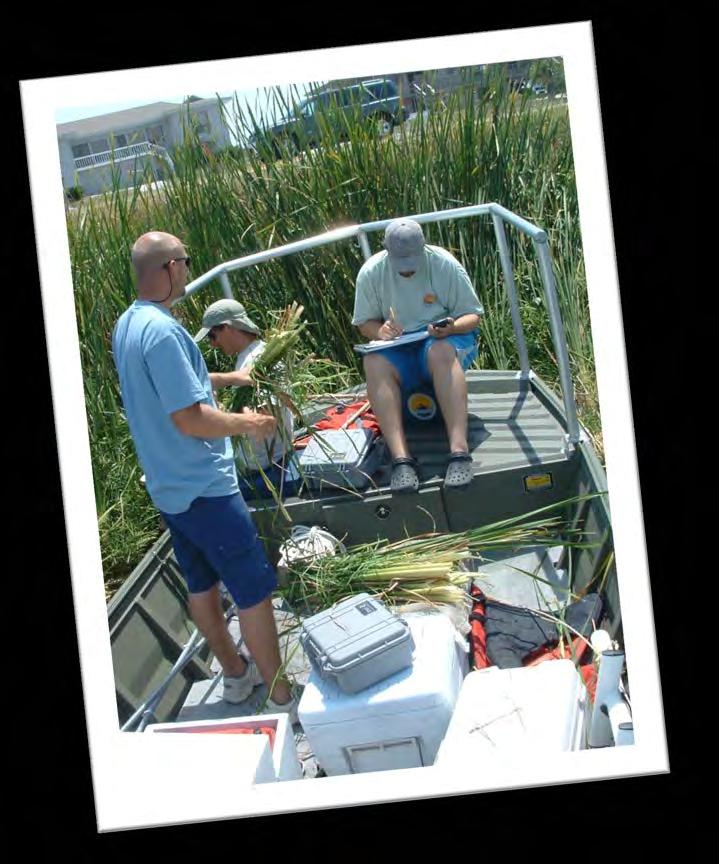 SCIENTIFIC MONITORING Pre & Post: Water Quality Analysis (CBA, FL LakeWatch) Sediment Study (CBA, LSU) Plant