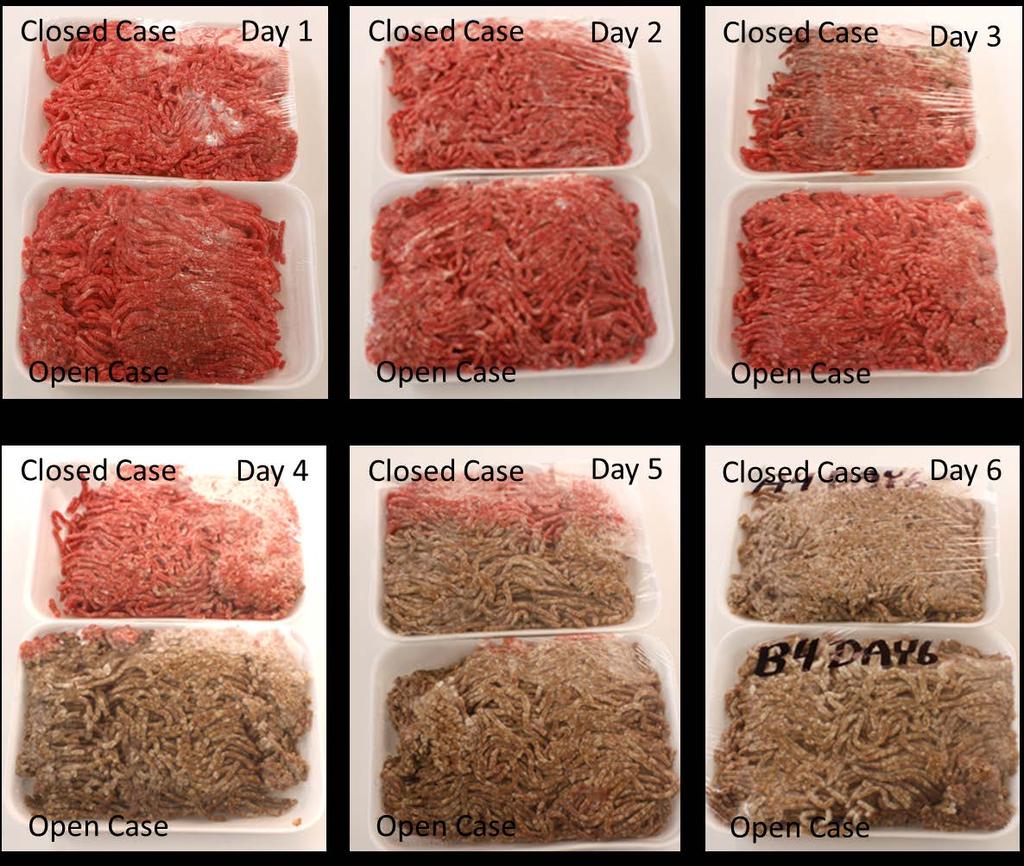Table 3, Ground Beef Color Shift Comparison CONCLUSIONS & RECOMMENDATIONS This test demonstrated under controlled laboratory conditions, that adding doors to open cases can reduce the load by 80%,