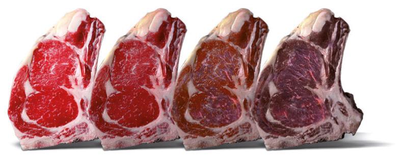 LoStagionatore Aging Meat Aging is a seasoning process which makes meat more tender, more aromatic and tastier.