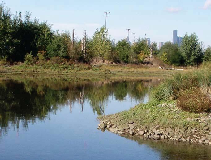 Habitat Restoration and Public Access Key Issues Contaminated site from industrial uses