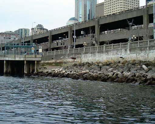 Seawall Replacement Key Issues Critical structural deficiencies in Seawall Nearshore habitat degradation 60% overwater