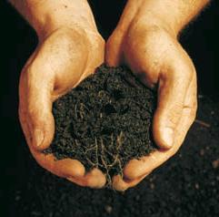 Importance of organic matter Topsoil most important to plant growth rich in organic matter humus decomposing organic material breakdown of dead organisms, feces, fallen leaves & other organic refuse