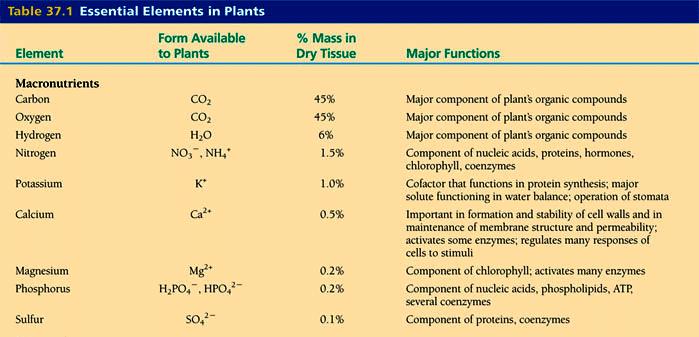 Micronutrients Plants require