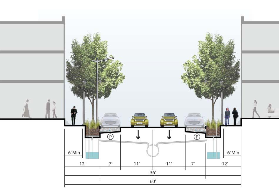 PROPOSED CUMBERLAND STREET SECTION In addition to the streetscape improvements that will green up the street, Cumberland