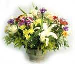 D47.0 Spring Basket Arrangement A spring arrangement with strong group placements of Lilliums, Roses, button Chrysanthemums, delphiniums, Tulips, Freesias and Lisianthus in a large round or oval