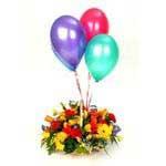 2 Baby Arrangement Boxed arrangement with foil balloon & soft toy (balloon & soft toy will vary).