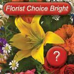 F4.1 Bright Seasonal Bouquet A Bright and Joyful Bouquet filled with the florist's