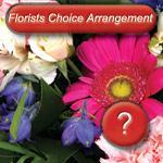 2 Florist Choice Arrangement Just let us know the occasion & any specific colours or