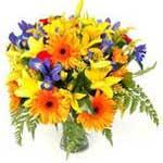 D32.0 Spring Bouquet A hand tied bouquet of brightly coloured flowers; Asiatic Lilliums, Gerbera, Iris, Solidaster and leather