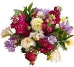 0 Round Pink Handtied Bouquet A posy of Sweet William, Gerberas, Freesias, Roses, Sweet Pea an Alstroemeria with Camellia and