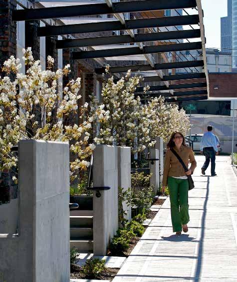 buildings Engage public open space areas with storefront retail, sidewalk usage