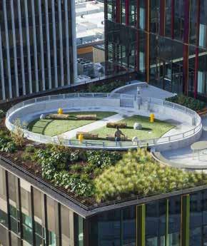 Urban Design Guidelines GREEN ROOFS
