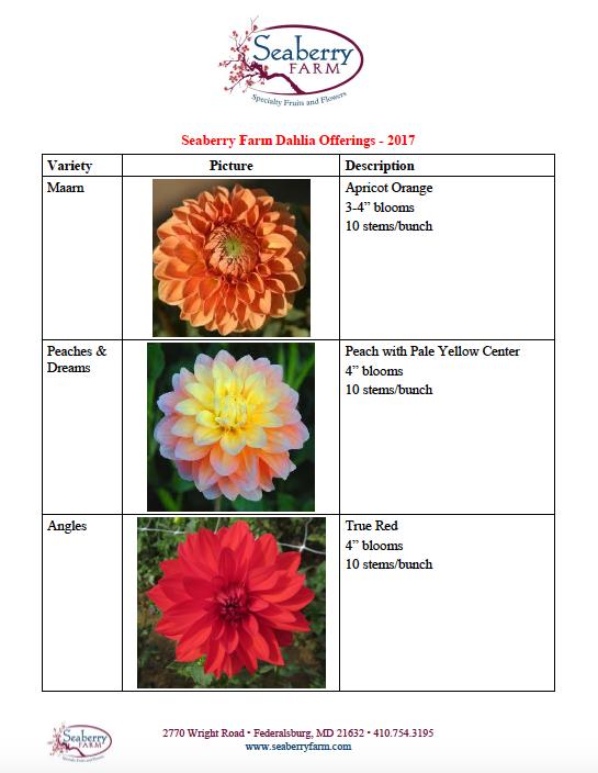 Sales Sheet for customers A picture and