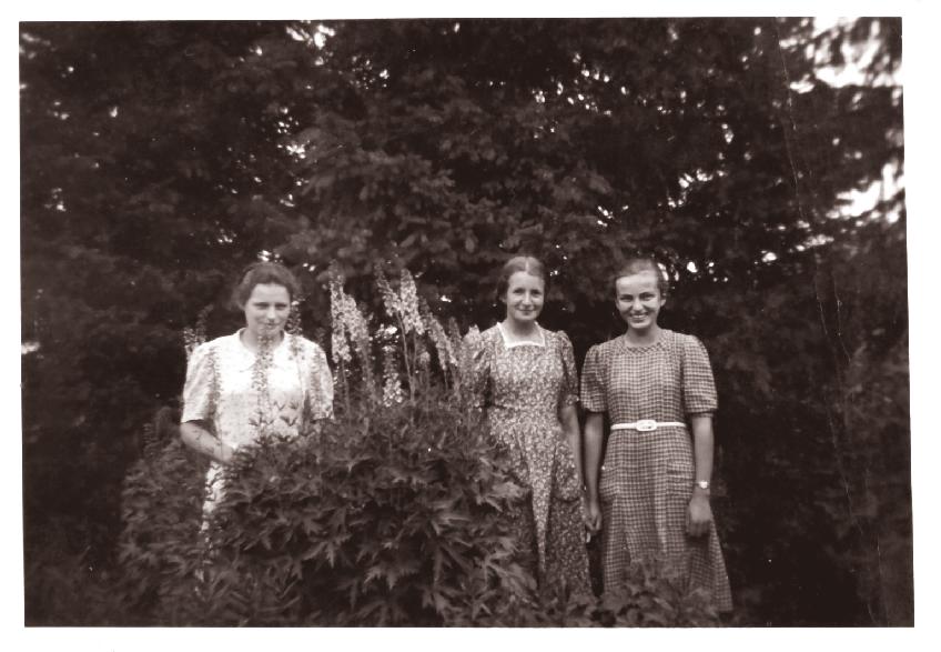 Atmintis Žydinti agava. Šilo Pavėžupis. 1939 m.