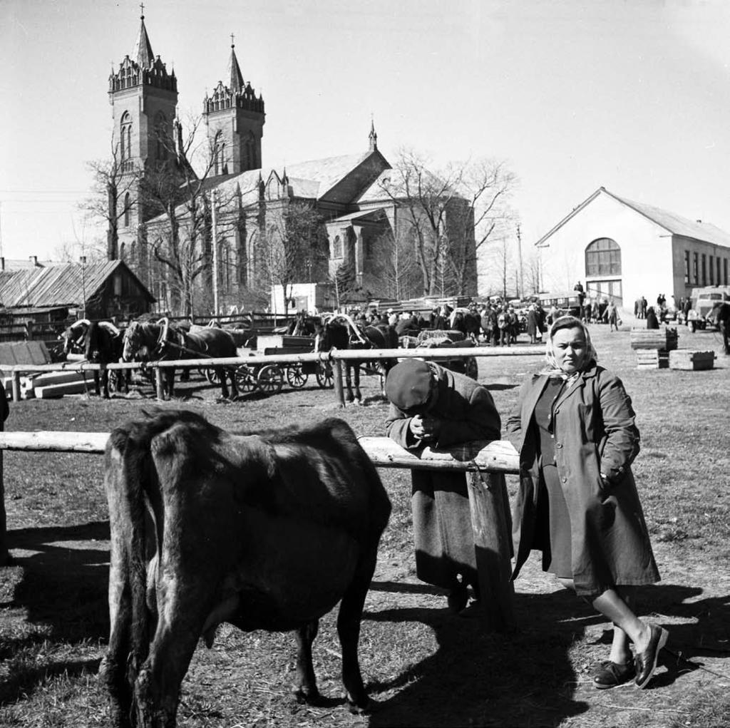 Vilius NAUJIKAS Kupiškio turgus, 1968 m. Jau istorinėse fotografijose sekmadienio turgus Kupiškyje, kuriame 7-ajame dešimtmetyje galėjai įsigyti ir gyvulį, ir rankų darbo dirbinių namams.