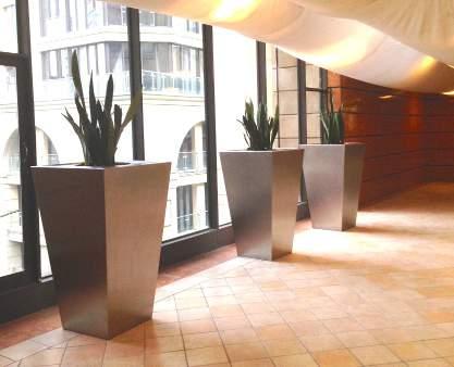 Metal pot plants are suitable for