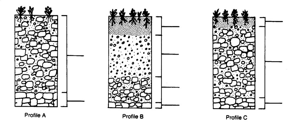 1. For the soil profiles below, label the horizons (A, B, or C) and the parent material in each of the soil profiles using the spaces provided next to each image. 2.