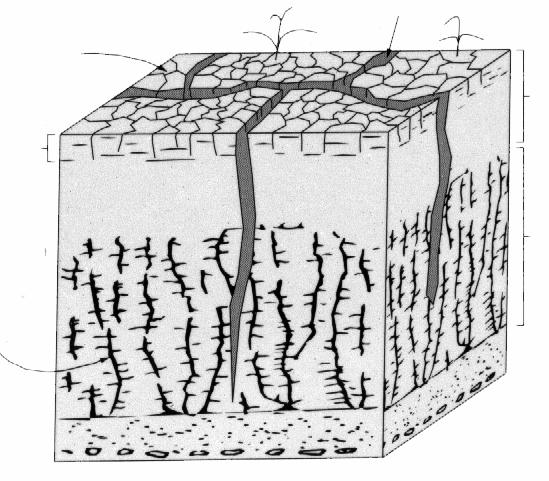 Structured Soil