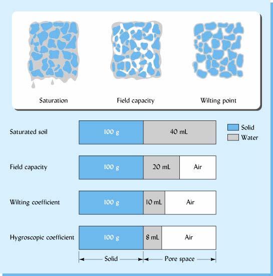 Figure 5.23 Volumes of water and air associated with a 100 g slice of soil solids in a well-granulated silt loam at different moisture levels.