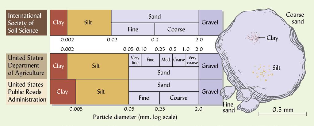 Size Classification of Soil Particles Sand, silt, and clay are the main size classifications Clay
