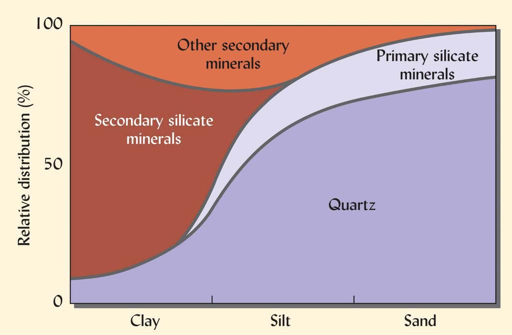 Relationship Between Mineralogy and Particle Size Primary Minerals: Inorganic compounds that make up rocks Examples: Quartz, Feldspar Secondary Minerals: New solid phases that form after rocks are
