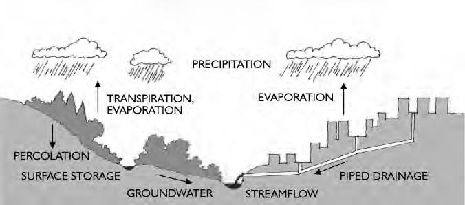 WATER: CONVENTIONAL URBAN STORMWATER MANAGEMENT NATURAL URBANIZED HYDROLOGY