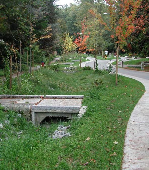 3) GREEN INFRASTRUCTURE performs ecosystem functions Green infrastructure [strategies] infiltrate, evapotranspire, capture and reuse rainwater...to maintain or restore natural hydrologies.