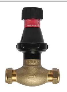 temperature & pressure valves