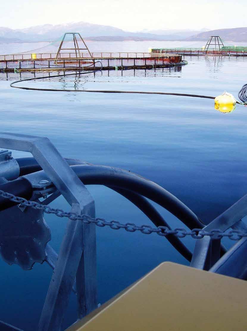 Fish farming air Efficient feeding systems Operators of fish farms, whether on-shore or offshore, rely on a reliable supply of blower and / or compressed air in order to ensure continuous, correctly