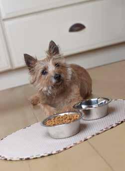 Pet The Envision Pet Bowl Mat is the new solution to the age old tradition of
