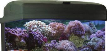 THE ULTIMATE REEF SERIES BIOTOPE Thank you for purchasing the 28g Nano Cube CF-QUAD Reef Series Biotope.