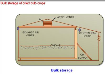 3. Bulk storage of dried bulb crops Onions, garlic and dried produce are best suited to low humidity in storage. Onions and garlic will sprout if stored at intermediate temperatures.