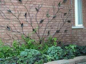 Espalier and