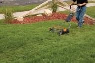 Expectations Lawns Require A Lot of Energy Physical