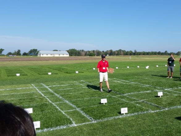 Does Mowing Height and Frequency Affect Growth Rate Different Rationales: 1) Frequent mowing increases turfgrass growth rate because it is less stressful than scalping 2) Scalping cause the growth to