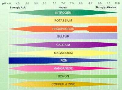 Soil ph and Plant Nutrition Many plants grow well in soil ph range of 5.5 to 7.5, but.