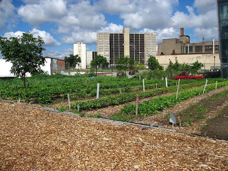 Why Are the Principal Areas of Concern for Local Government Lawyers? Is urban ag allowed?