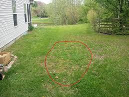 Rain Garden Here are some basic steps to give you a good start building your own rain garden. 1.