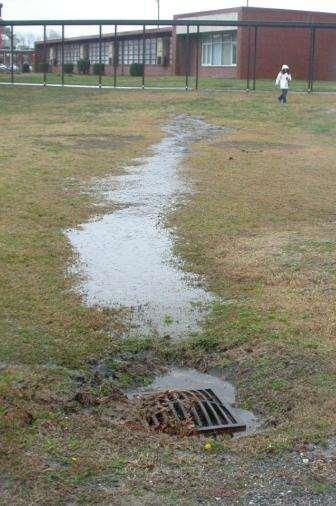 Step 1: Potential Locations Your rain garden should be between runoff source: