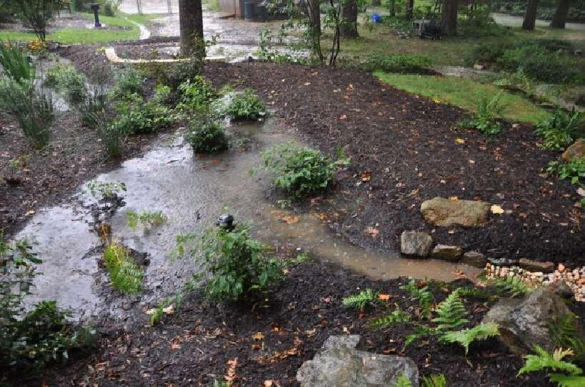 Watershed Size: How much rain should a rain garden hold?