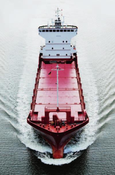 WHAT S EFFECT Minimax has the perfect combination of fireextinguishing systems for every type of vessel, allowing you to source complete solutions for your ship from just a single supplier.