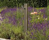 375119 Webcode G9103 Stainless steel water spring The elegant water spring point for the garden.