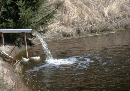 Confirm your irrigation water amount and availability Pond levels,