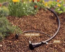 Flush drip irrigation lines and filters once or twice a year. Find the "end cap" on your drip line. This should be at the point furthest from your valve box.
