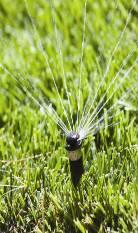 Check your sprinklers every few weeks to confirm they are spraying where they should be.